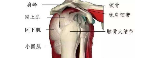 到肩痛可能是患了肩峰下撞击综合征