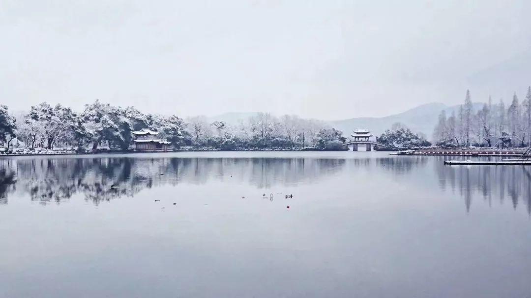 杭州又双叒叕下雪了快来杭州看雪吧