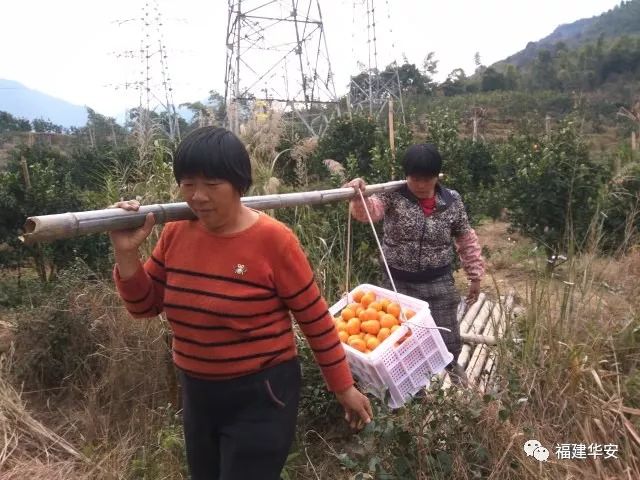 谢谢你简谱歌谱戚建波曲谱