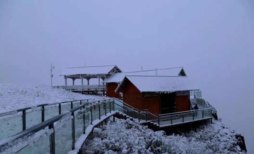 这个冬季的一场雪,让韭菜坪飘进诗和远方