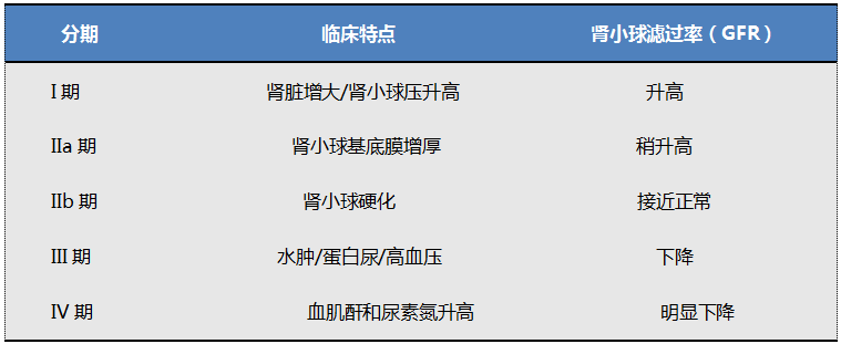 健康 正文 表2 糖尿病肾病的分期及特点 糖尿病肾病以及慢性肾脏病1~2