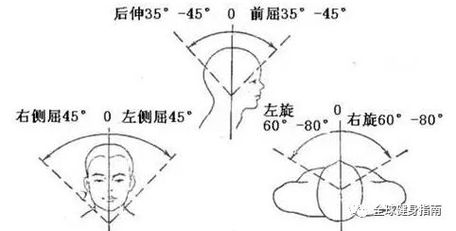 no.1 颈部活动度