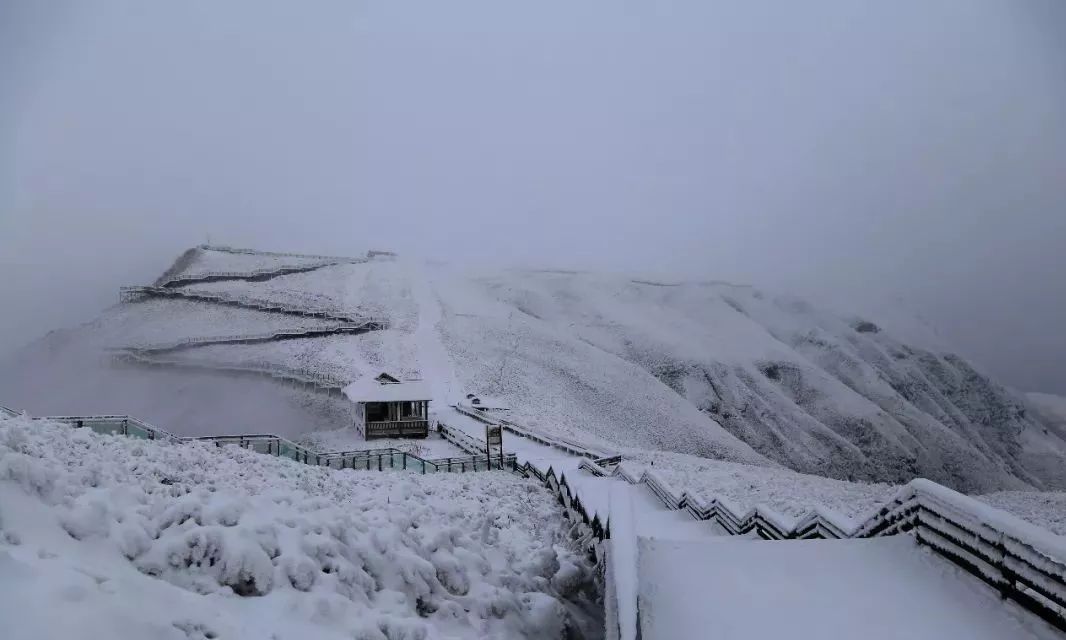 这个冬季的一场雪,让韭菜坪飘进诗和远方