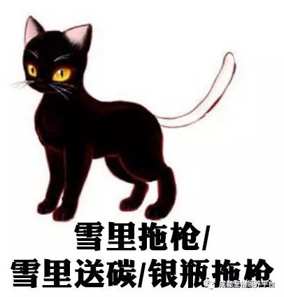 白猫黑尾 (对应的黑猫白尾巴叫做银拖铁瓶/昆仑妲己)