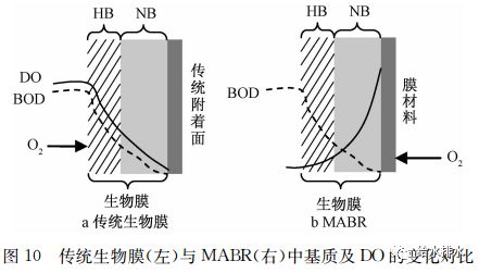 mabr工艺的另外一个特点是基质扩散的相反梯度,如图10所示.