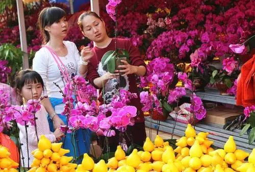 （天气）最高25℃！新会将迎来史上“最热春节”！