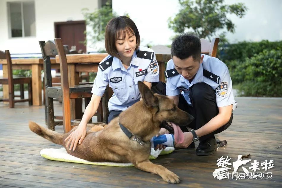 警犬来啦跨年热播杨蓉贾景晖情感初露端倪