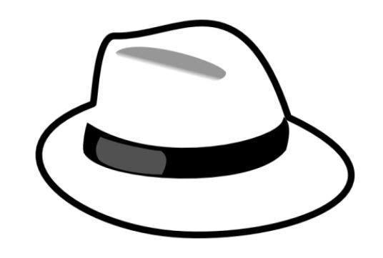 全球顶级白帽子:美女,通缉犯,公务员