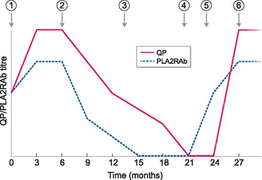 关于原发性膜性肾病pla2rab,不可不知的9大要点