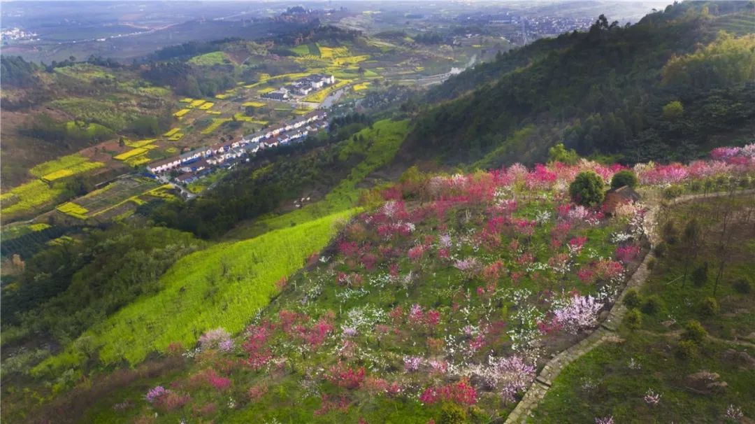 千里龙门山脉耸立在广袤的川西平原上,但在葛仙山南麓却鬼斧神工般