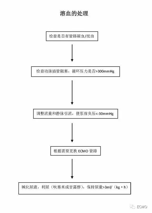 ecmo详细解读!