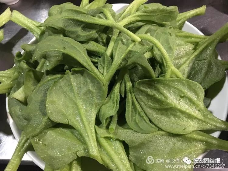 因茎叶布满了冰珠,吃起来口感非常奇特,鲜嫩多汁,入口即化,食用后既