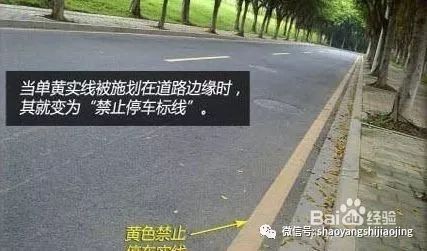 路边黄色禁止停车标线