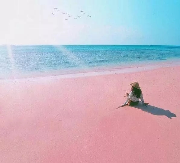 距离巴厘岛一小时就有绝美粉色沙滩?去过的国人不足100人?!