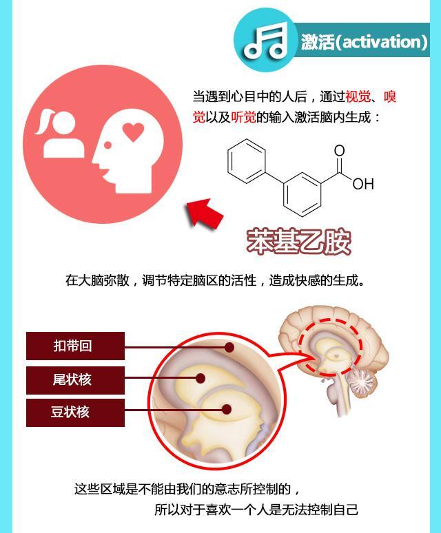 中国4亿人口怎么统计来的_中国最新人口数据统计