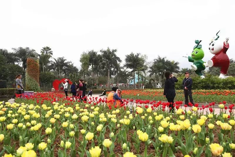 水仙花海