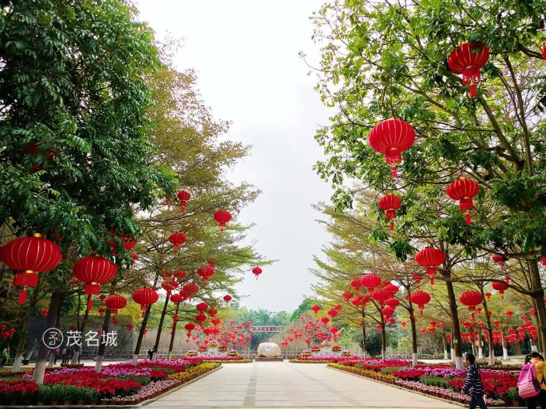 2018春节!带你游不一样的茂名森林公园,国家4a级的旅游景区