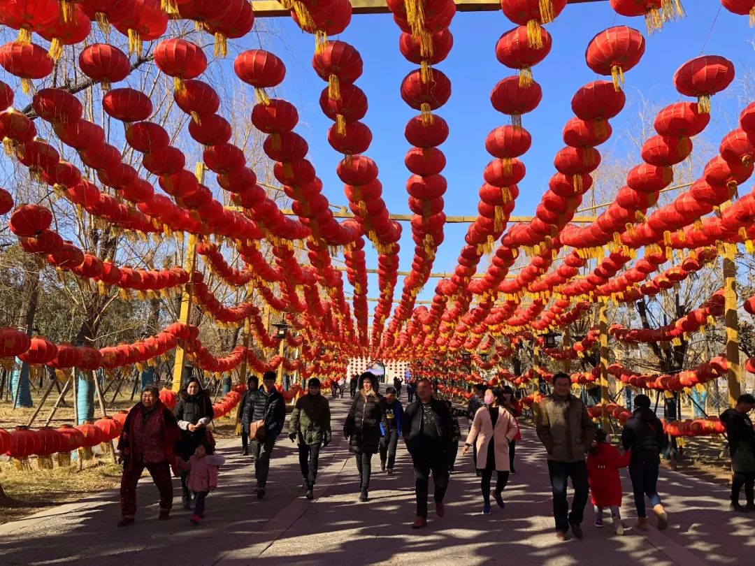 【游学·城市】美丽龙门迎新春,张灯结彩过大年