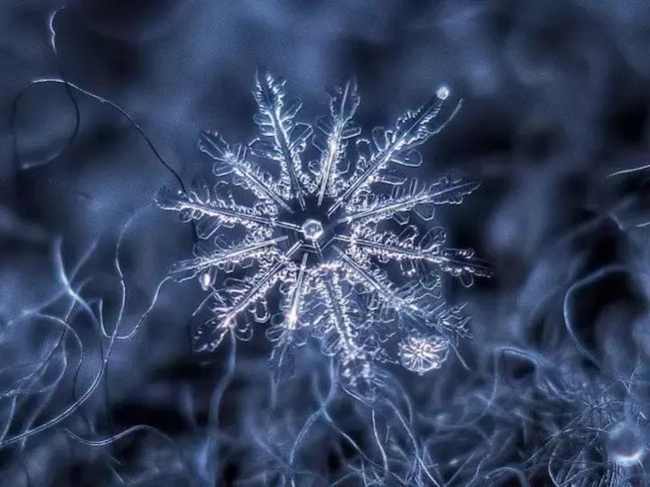 他用一部烂相机,9年只拍雪花,拍到了罕见的雪花形态