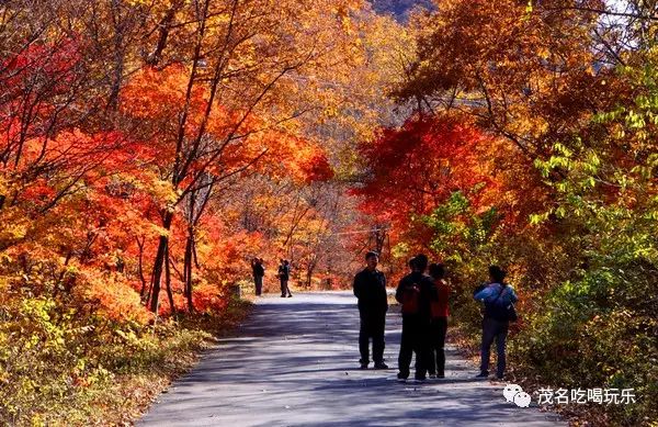 南通景区对外来人口开放吗_南通旗山旅游景区(3)