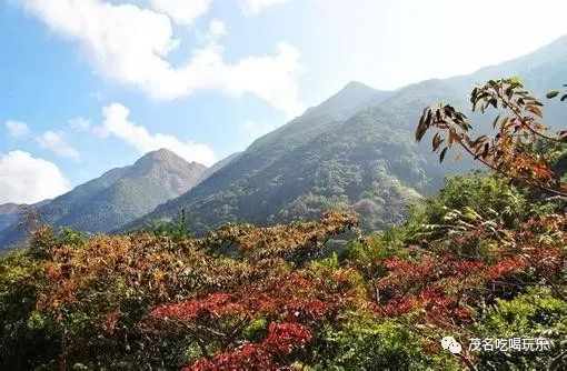 南通景区对外来人口开放吗_南通旗山旅游景区(2)