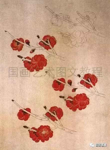 工笔梅花基础教程,白描工笔梅花的画法步骤