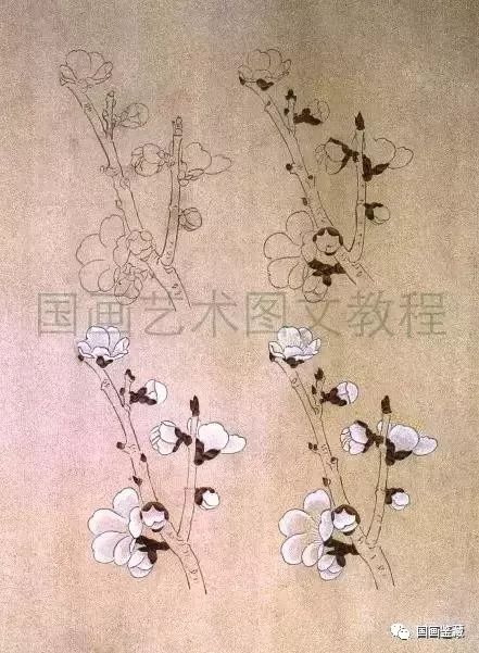 工笔梅花基础教程,白描工笔梅花的画法步骤