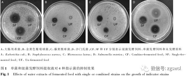 正文 试验测定了发酵饲料提取液对大肠埃希菌,金黄色葡萄球菌,藤黄微