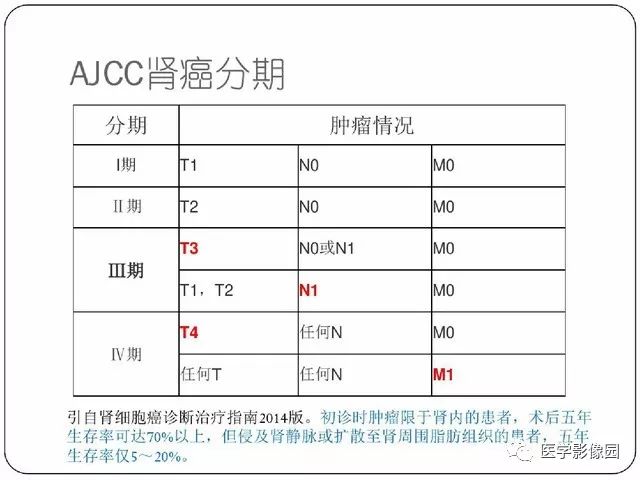 肾细胞癌分型和分期的影像详解丨影像天地