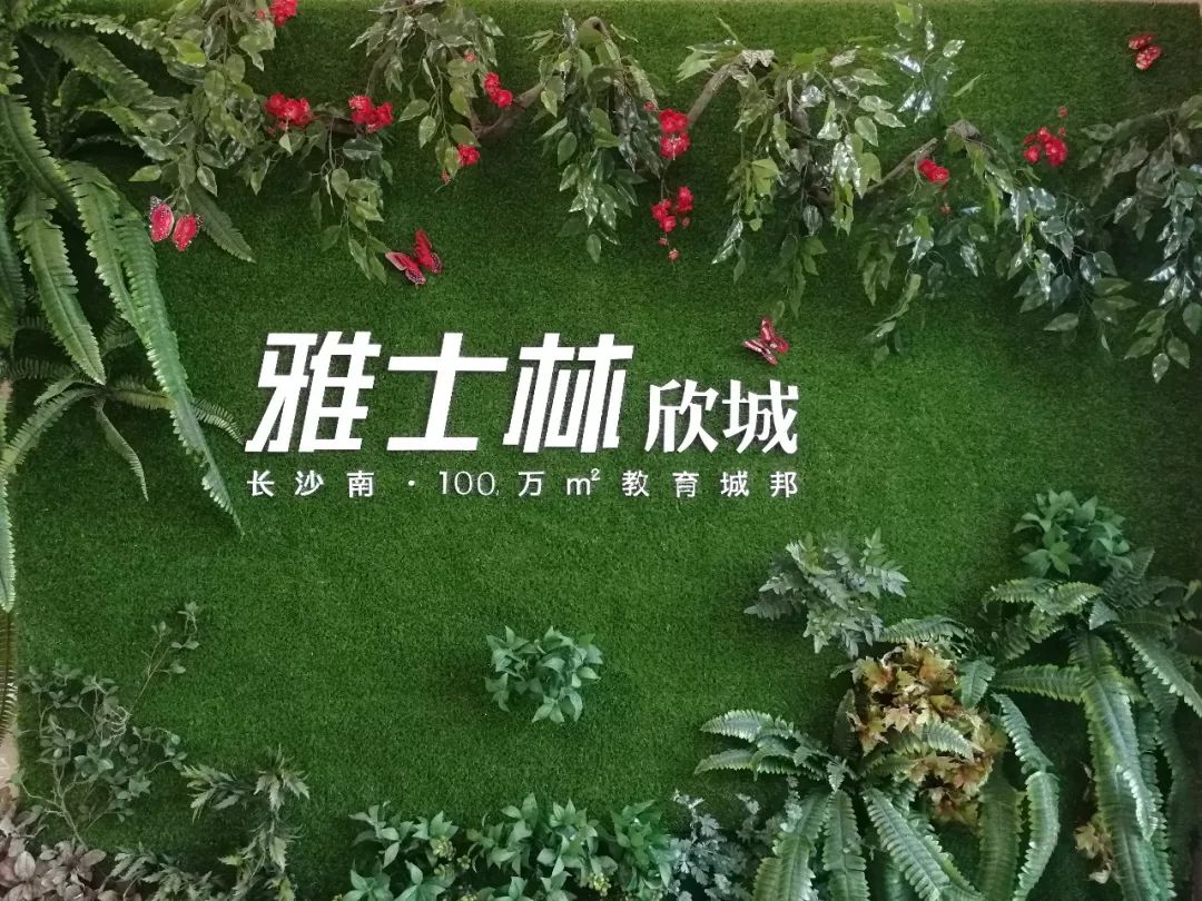 湘潭雅士林欣城:情人节邂逅春节,"年"在一起,把爱带