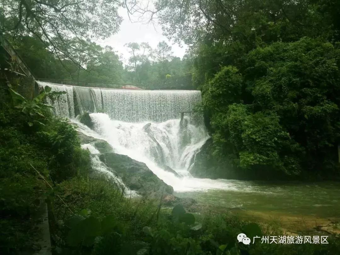 用10元去吟一首诗,赏一幅画,解一部不解的天书~从化天湖风景区,正月的