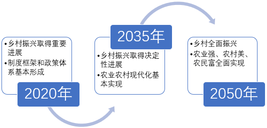 战略的目标任务和基本原则,制定了实施乡村振兴战略"三步走"时间表,到