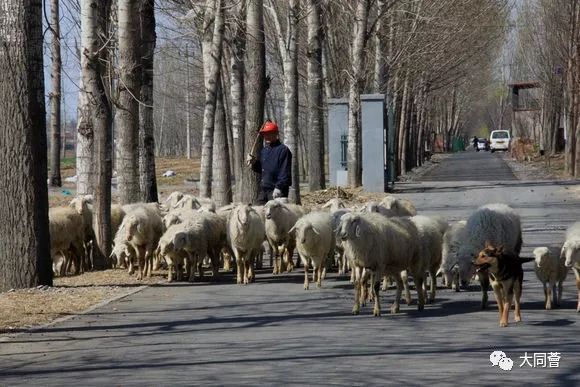 山西大同有多少人口_山西大同