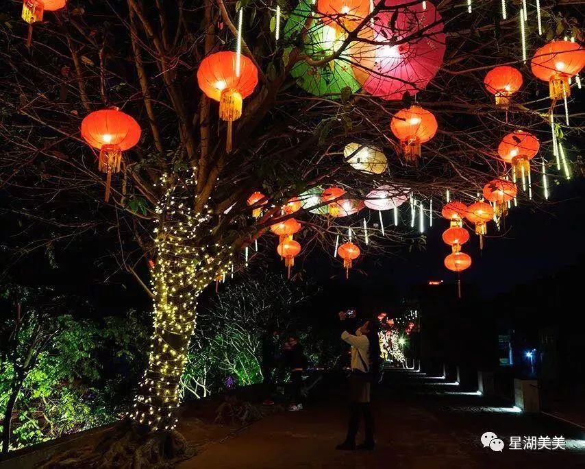 肇庆端州牌坊广场水幕电影昨日"上线"啦!快来一饱眼福