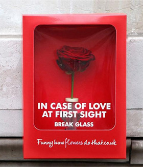 玫瑰应急箱,如果遇到爱情请打开它!