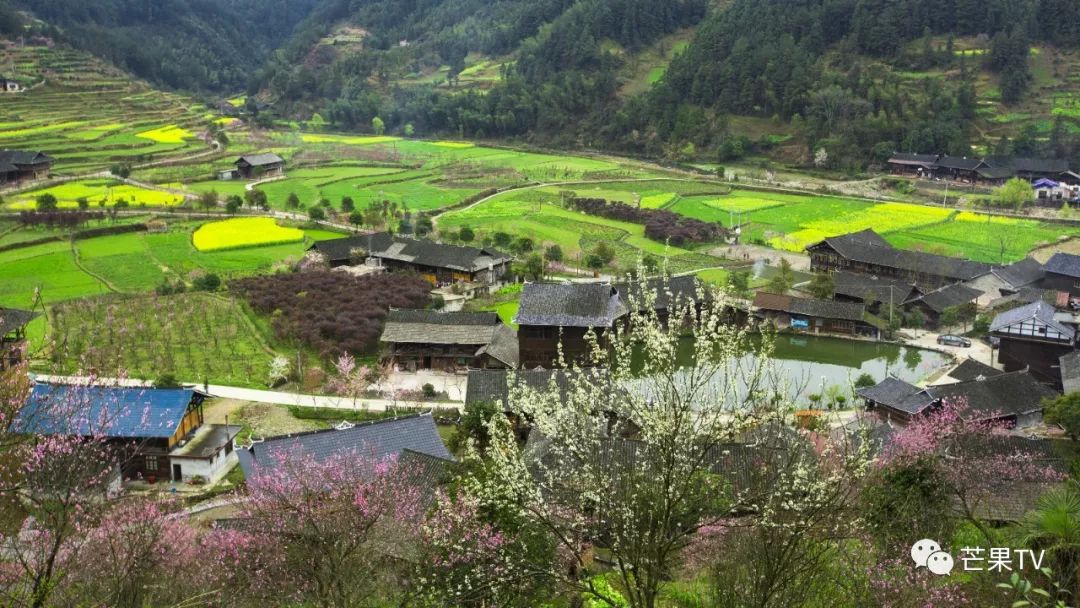 "新春走基层·直播奉嘎山,一起去"古一ㄔ"里过大年咯!