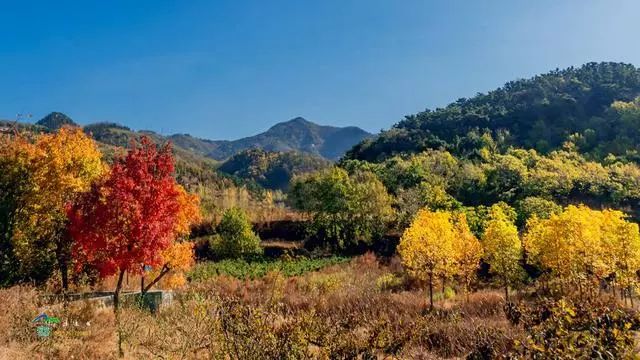 平邑大旺山旅游综合体项目成功签约(附美景图)