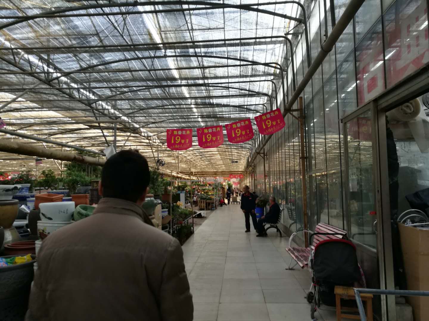 2024曹庄花卉市场购物,【商品】很多商家开始营业了 ... 【去哪儿攻略】