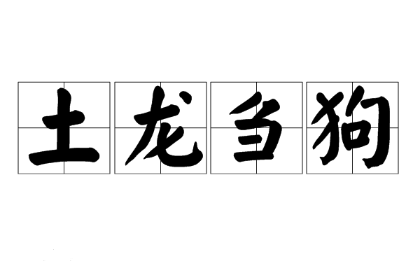 "曹丕篡弑,自立为帝,是犹土龙刍狗之有名也"延康元年(220年)正月