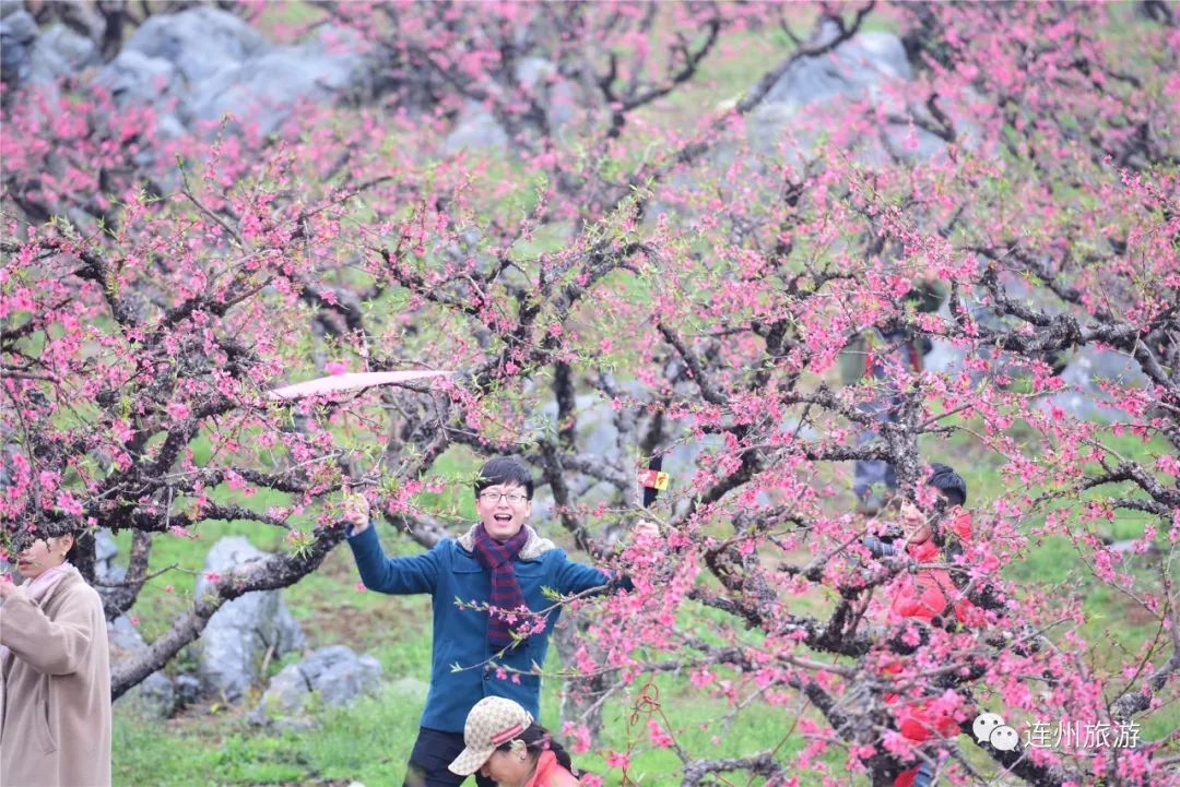 2018连州桃花节要来啦,浪漫的春日,嘿,我们一起去连州看桃花吧