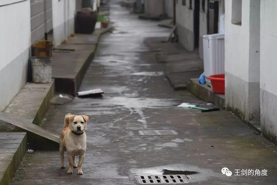 欧洲杯买球：也普通有村民来找村长呼应