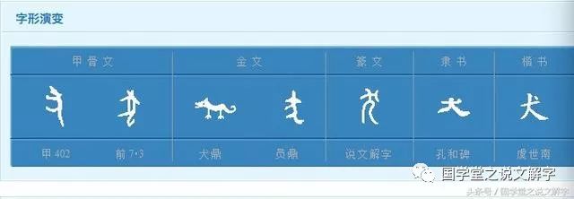 而孔子说:看'犬'这个字,字形就像是在画狗.