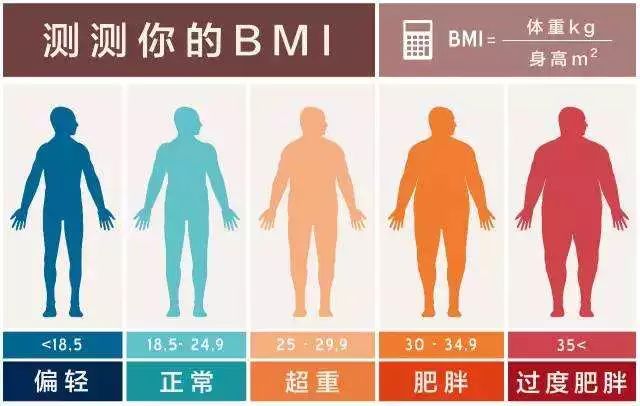 断食的原理_轻断食的好处   轻断食有助于减重   隔日断禁食法、周期性禁食(仅医生指导下)、