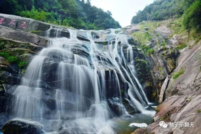 赏花观瀑258元龙岩武平梁野山休闲1日春节7天乐