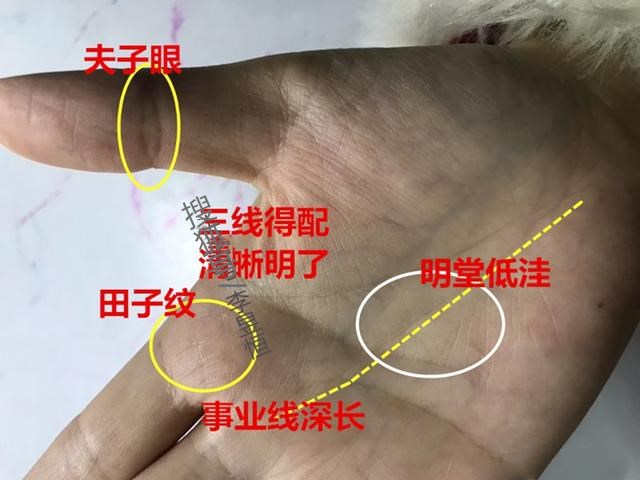 李昱恒这种手相三约纹女嫁良夫男得美妻钱财无忧