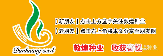 敦煌种业种子营销分公司祝社会各界同仁新春快乐,狗年大吉!