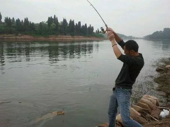 抛竿扬竿控时间 台钓抛竿下饵时的有一个诱鱼口诀,就是"紧十竿慢十竿