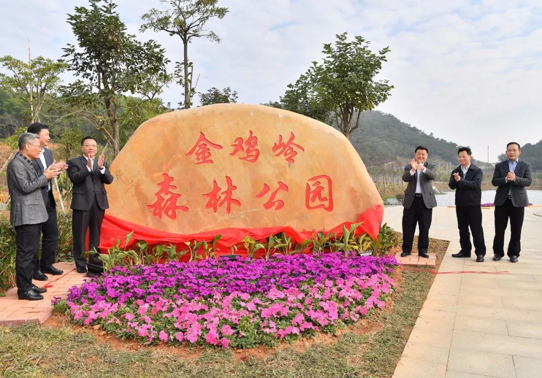 阳江市民又多了休闲健身的好去处.