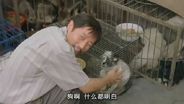 成语犬马什么_犬马之心图片成语(3)