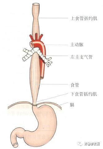 吃不进去东西怎么办